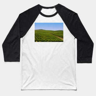 Vineyards Baseball T-Shirt